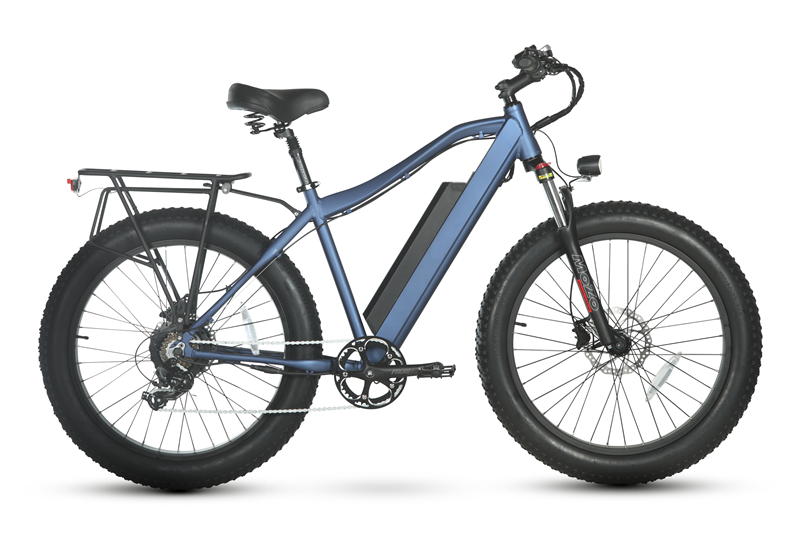 48V 750W Paladin fat tire mountain electric bike for man