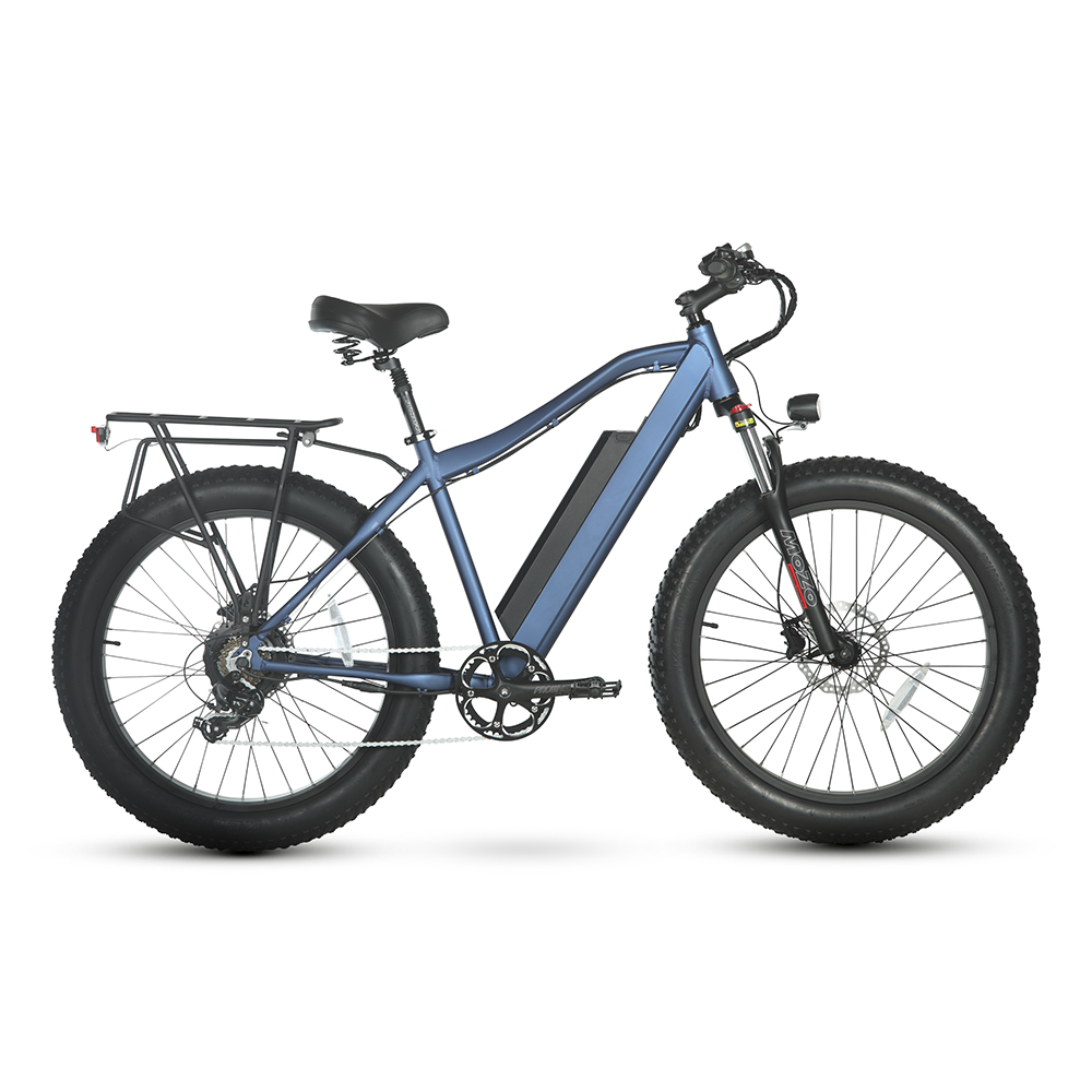 48V 750W Paladin fat tire mountain electric bike for man